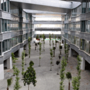 Facul1